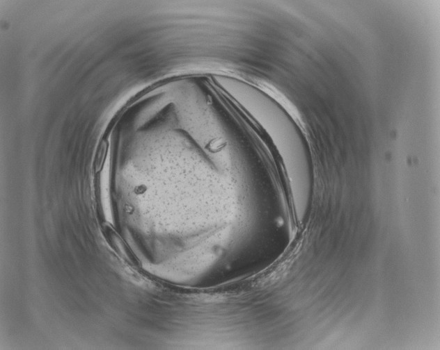 X0000072960996200608111646