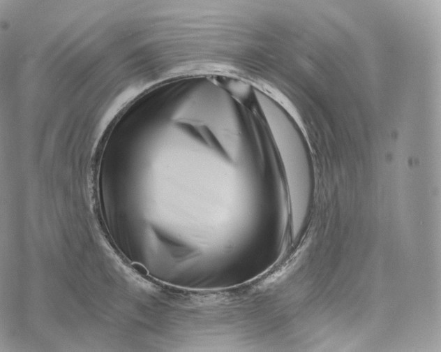 X0000072960997200608111646