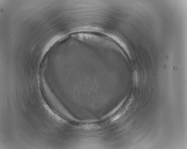 X0000072960998200608111646