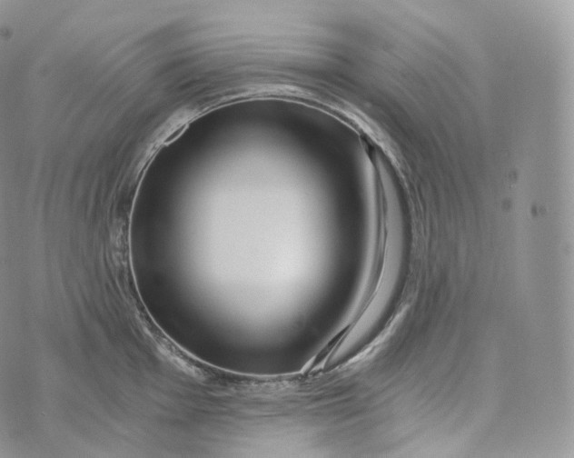 X0000072961001200608111646