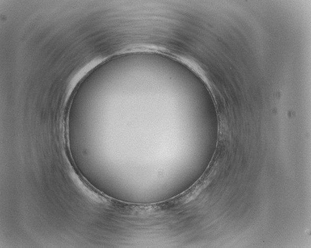 X0000072961003200608111646