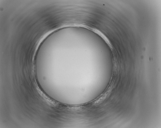 X0000072961004200608111646