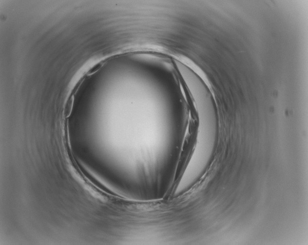 X0000072961005200608111646