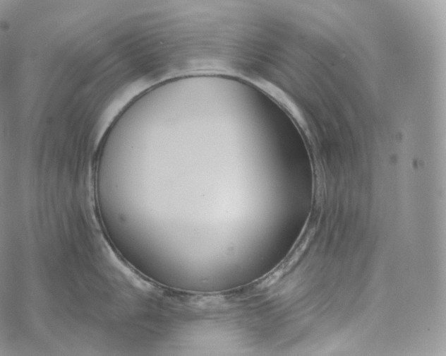 X0000072961006200608111646