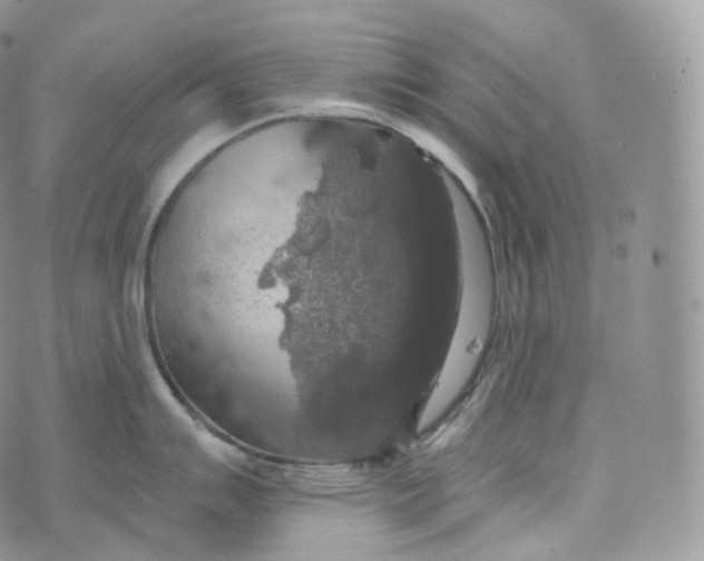 X0000072961007200608111646