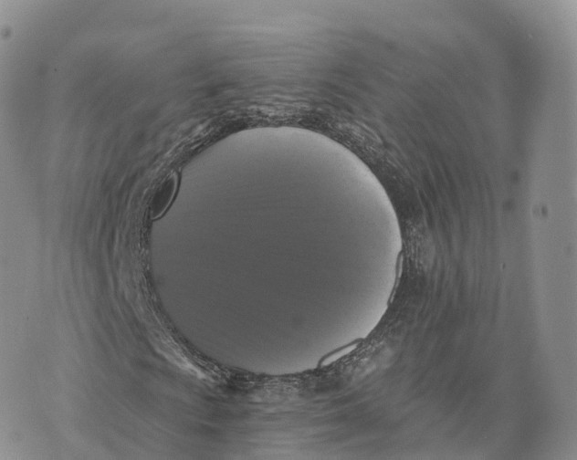 X0000072961009200608111645