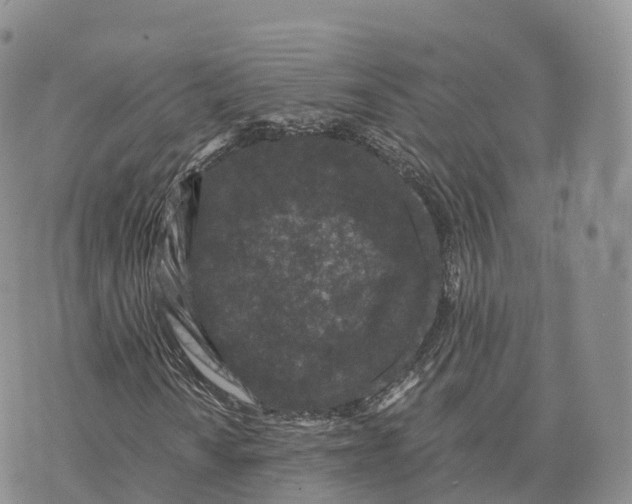 X0000072961010200608111645