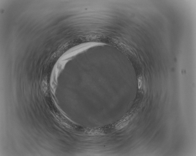 X0000072961011200608111645