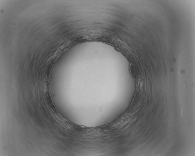 X0000072961012200608111645