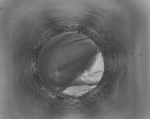 X0000072961013200608111645