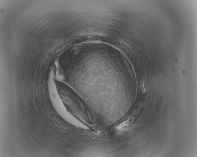 X0000072961014200608111645