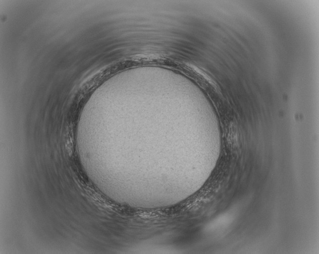 X0000072961015200608111645