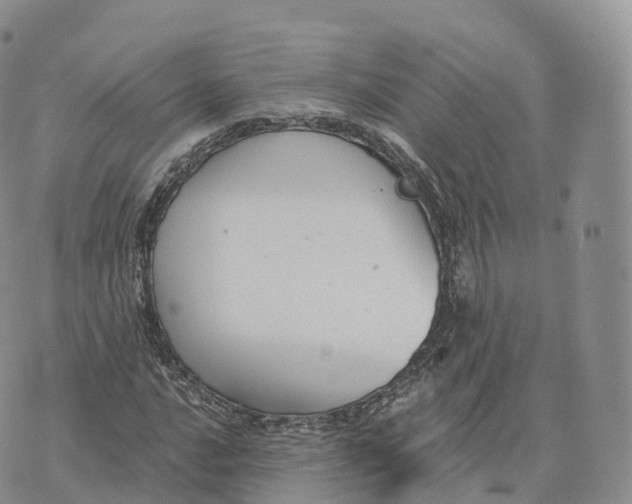 X0000072961016200608111645