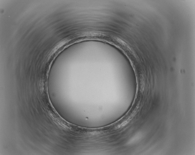 X0000072961017200608111645