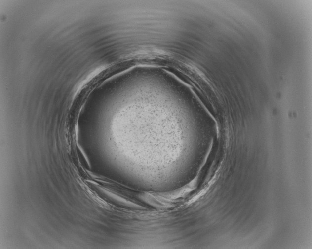 X0000072961018200608111645