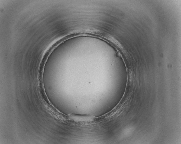 X0000072961020200608111645