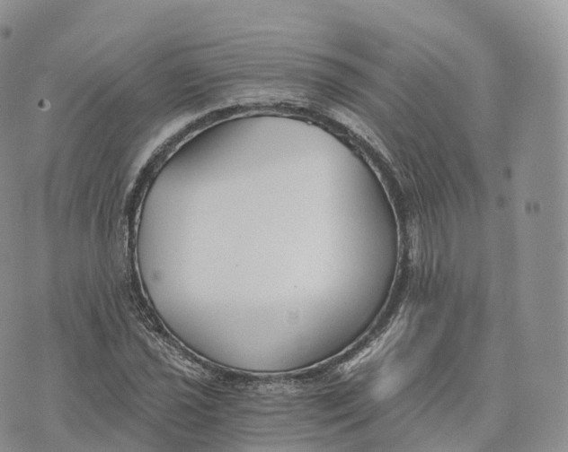 X0000072961021200608111645