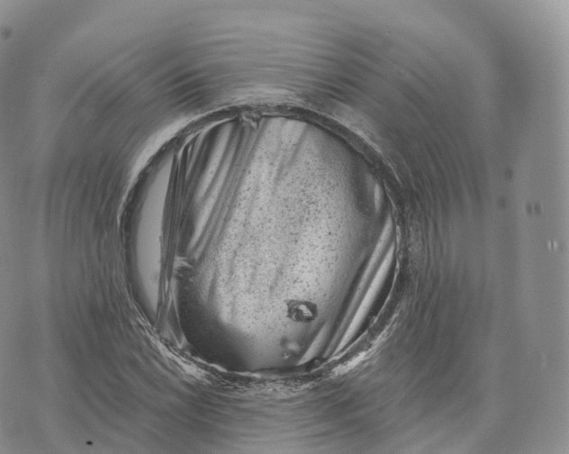 X0000072961022200608111645