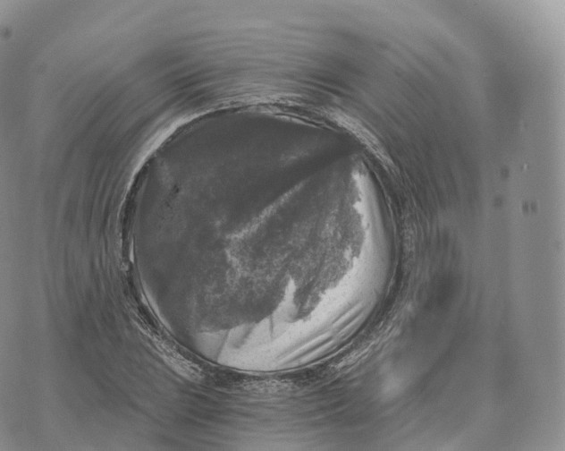 X0000072961023200608111645