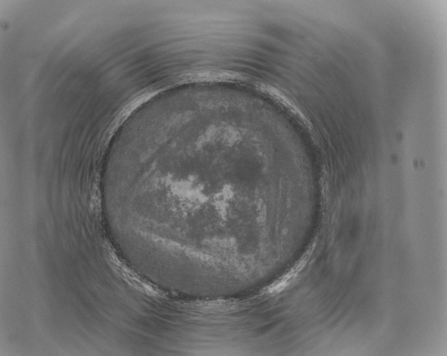 X0000072961025200608111645