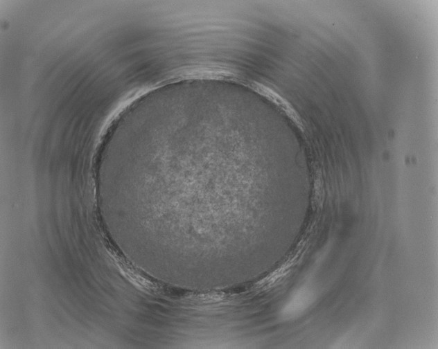 X0000072961027200608111646