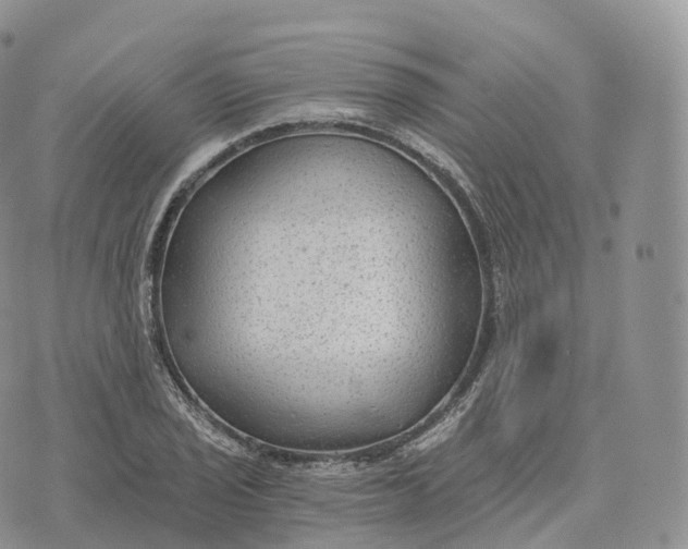 X0000072961029200608111646