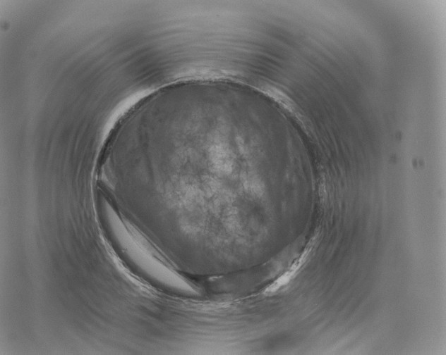 X0000072961030200608111646