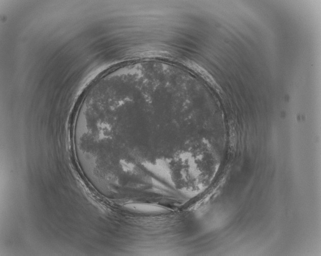 X0000072961031200608111646