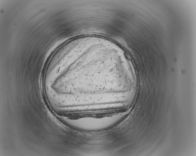 X0000072961032200608111646