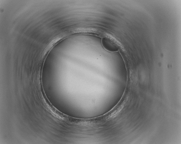 X0000072961033200608111646