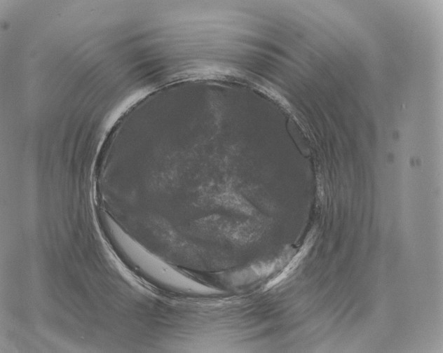 X0000072961034200608111646