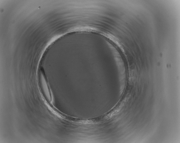 X0000072961037200608111646