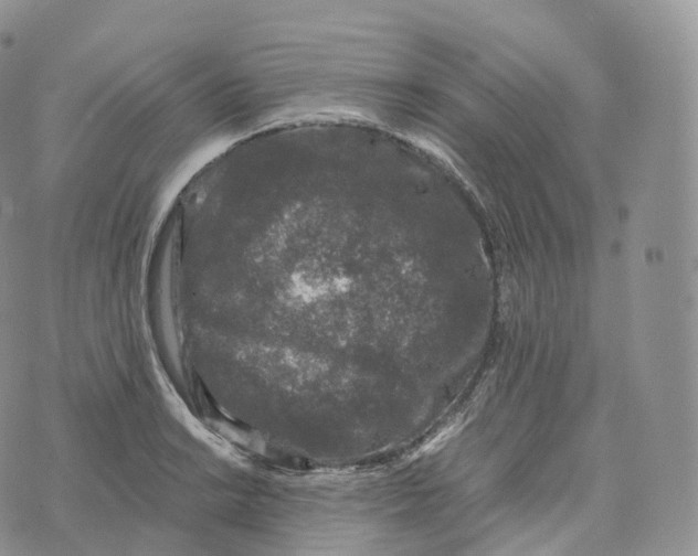 X0000072961038200608111646