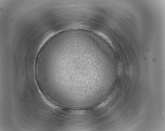 X0000072961039200608111646