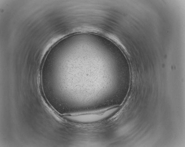 X0000072961040200608111646