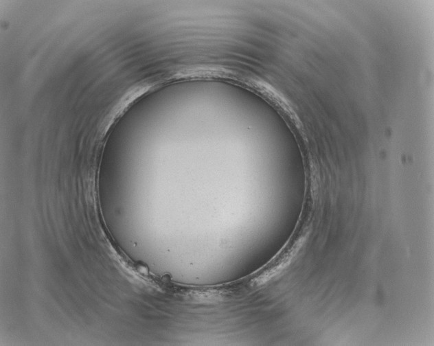 X0000072961041200608111646