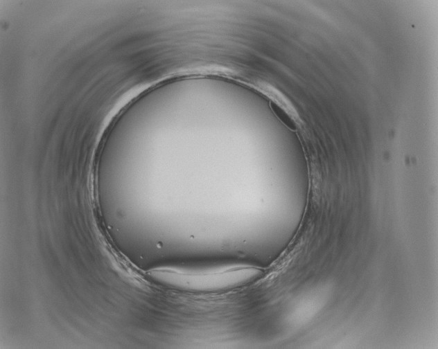 X0000072961044200608111646