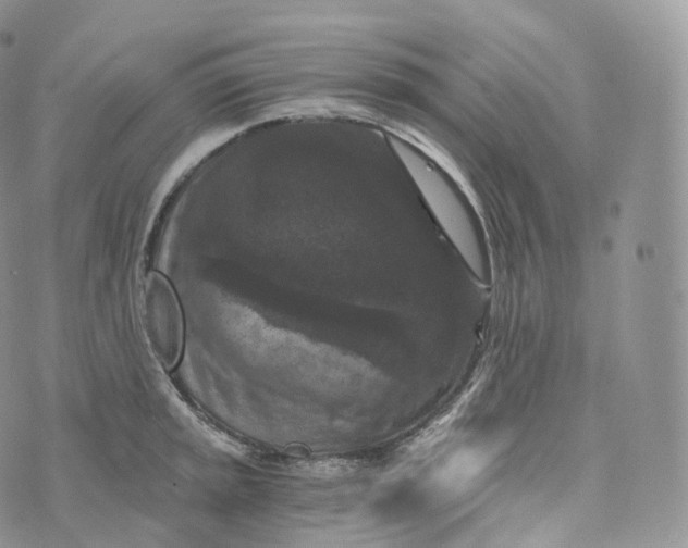 X0000072961045200608111646