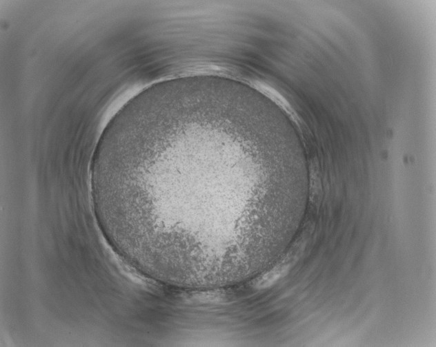 X0000072961047200608111646