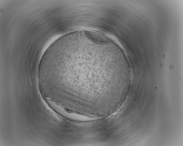 X0000072961048200608111646