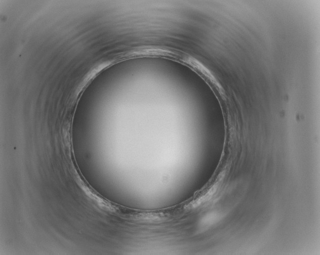 X0000072961049200608111646