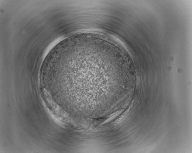 X0000072961050200608111646