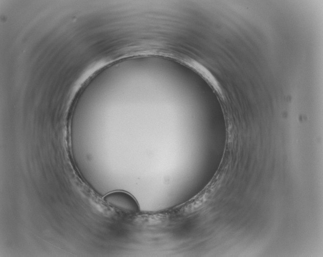 X0000072961051200608111646