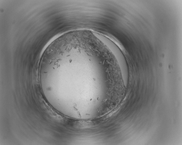 X0000072961052200608111646