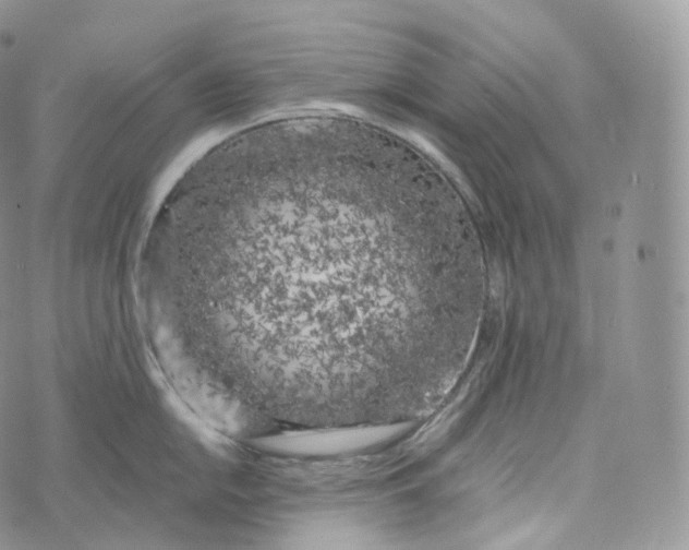 X0000072961054200608111646