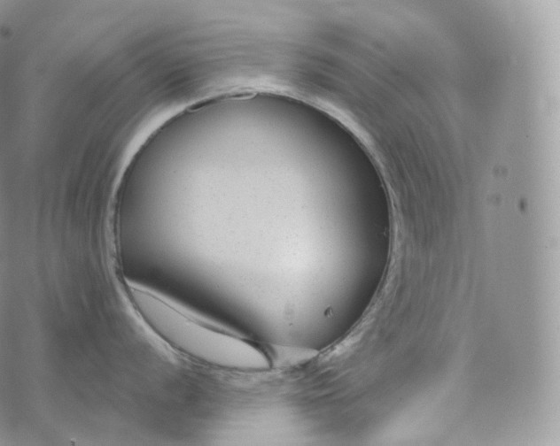 X0000072961056200608111646