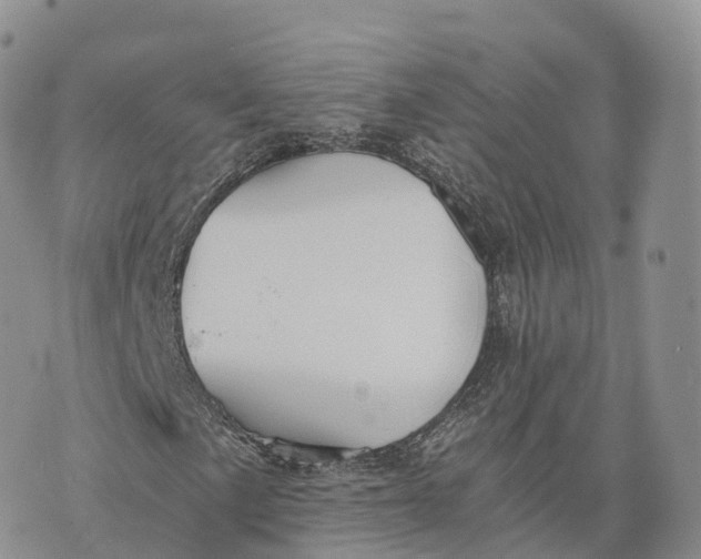 X0000072961057200608111645