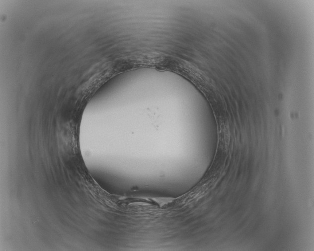 X0000072961058200608111645