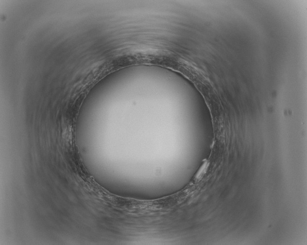 X0000072961061200608111645