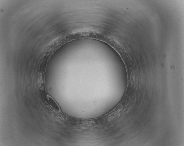 X0000072961062200608111645